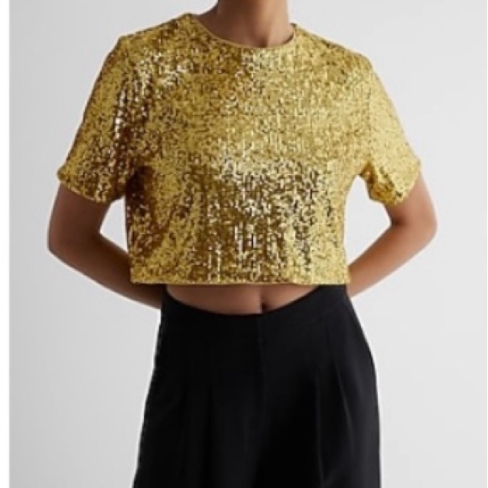 Express Sequin Top - image 1